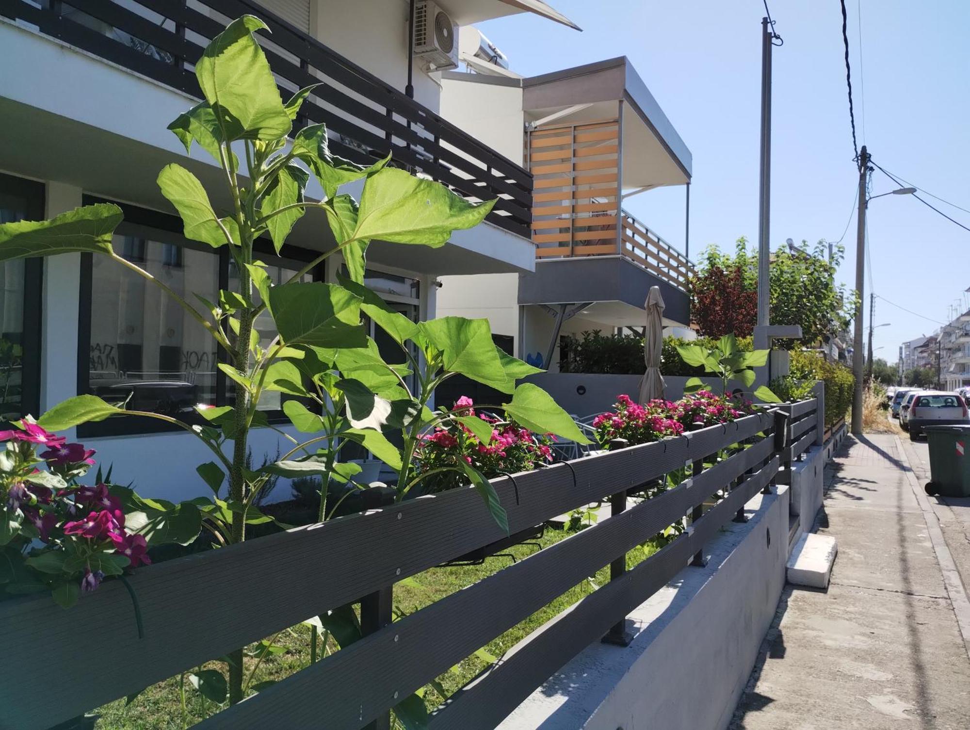 Villa Olympia Paralía Exterior foto